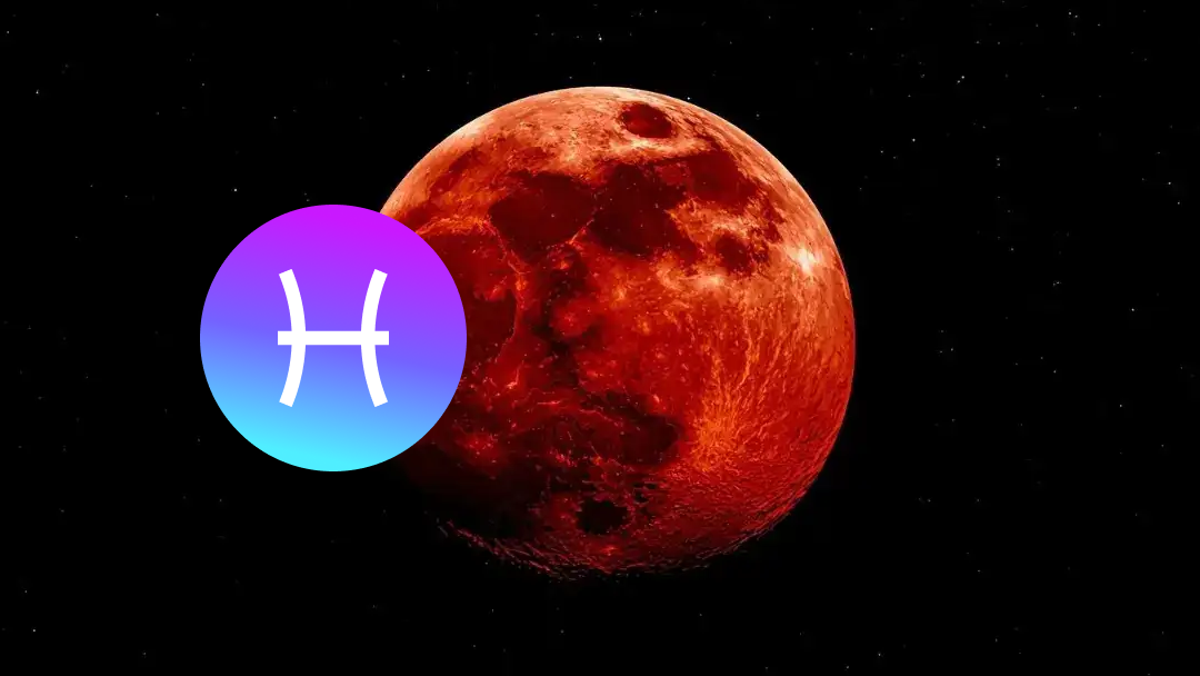 Загасны ордод тохиох Цусан сар ордуудад хэрхэн нөлөөлөх вэ? (IX.04 ~ IX.11)